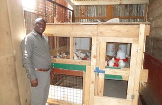Small Business Programs - Chicken Farming